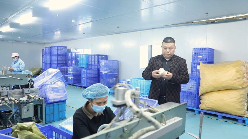 江華 湘商回歸潮涌，家居制造報桑梓