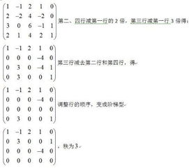 探秘矩陣的秩 解開線性代數核心概念的鑰匙